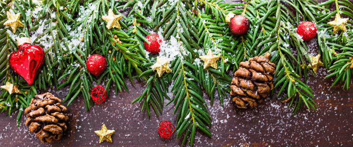 Wishing you a Merry Christmas